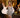 Luminere Dress